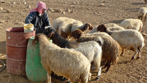 Shepherd supplies water in otherwise desert country